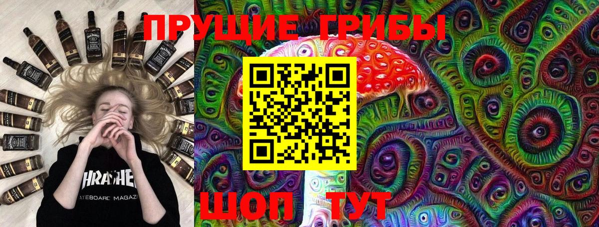 Псилоцибиновые грибы Cubensis  Галлюциногенные грибы мухоморы  Вход с VPN  Переславль-Залесский 
